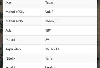 C21 Loft'tan Vakıf Mahallesinde Satılık Cennet Elması Bahçesi - 6 - 33825
