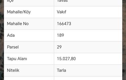 C21 Loft'tan Vakıf Mahallesinde Satılık Cennet Elması Bahçesi