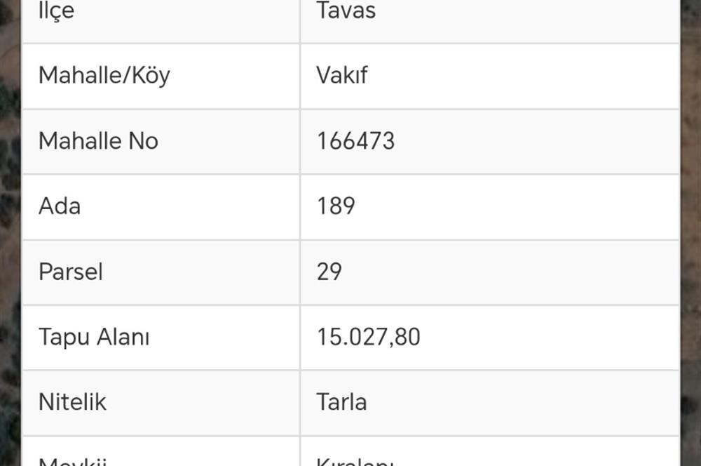 C21 Loft'tan Vakıf Mahallesinde Satılık Cennet Elması Bahçesi
