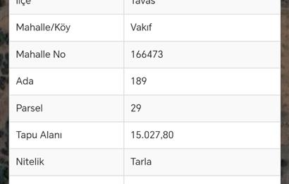 C21 Loft'tan Vakıf Mahallesinde Satılık Cennet Elması Bahçesi