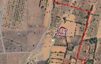 C21 Loft'tan Karahisar Mahallesinde Satılık Bağ