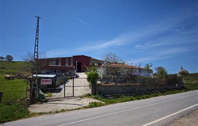 CENTURY 21 BAL'DAN KÜÇÜKBAŞ/BÜYÜKBAŞ ÜRETİM ÇİFTLİĞİ