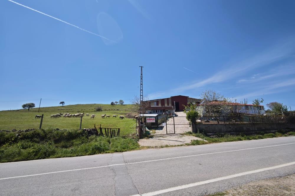 CENTURY 21 BAL'DAN KÜÇÜKBAŞ/BÜYÜKBAŞ ÜRETİM ÇİFTLİĞİ