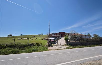 CENTURY 21 BAL'DAN KÜÇÜKBAŞ/BÜYÜKBAŞ ÜRETİM ÇİFTLİĞİ