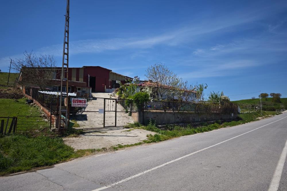 CENTURY 21 BAL'DAN KÜÇÜKBAŞ/BÜYÜKBAŞ ÜRETİM ÇİFTLİĞİ