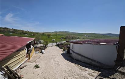 CENTURY 21 BAL'DAN KÜÇÜKBAŞ/BÜYÜKBAŞ ÜRETİM ÇİFTLİĞİ