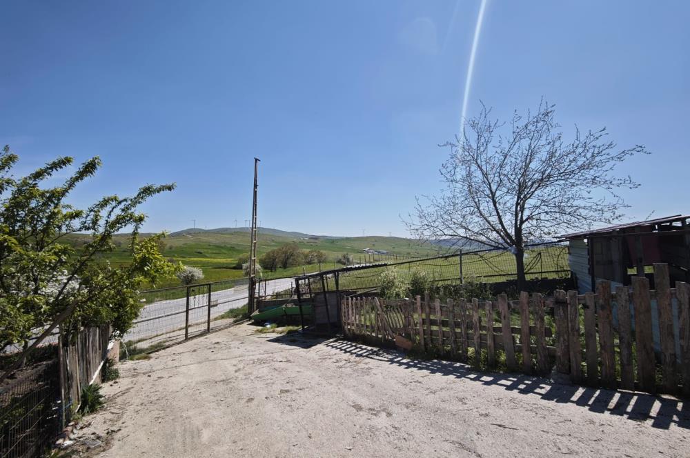 CENTURY 21 BAL'DAN KÜÇÜKBAŞ/BÜYÜKBAŞ ÜRETİM ÇİFTLİĞİ