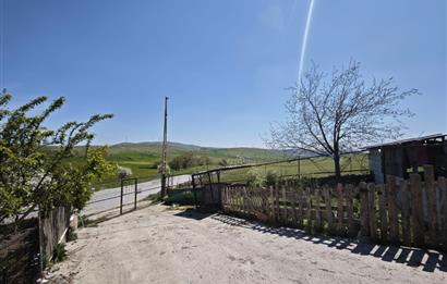 CENTURY 21 BAL'DAN KÜÇÜKBAŞ/BÜYÜKBAŞ ÜRETİM ÇİFTLİĞİ