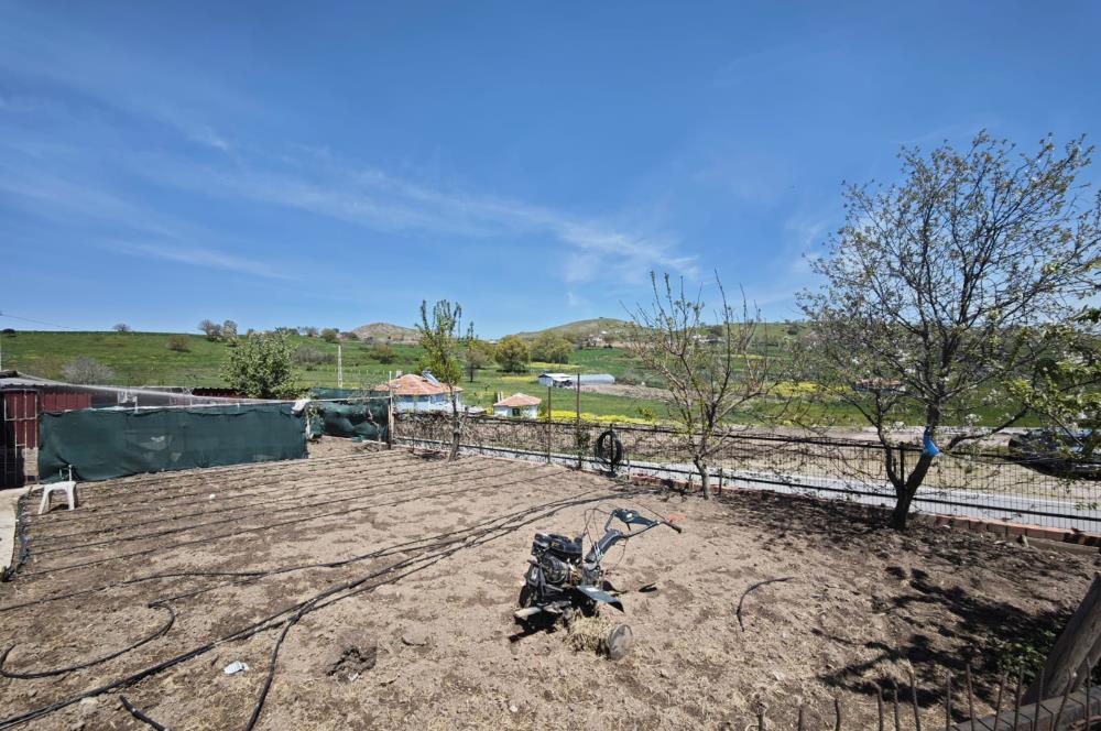 CENTURY 21 BAL'DAN KÜÇÜKBAŞ/BÜYÜKBAŞ ÜRETİM ÇİFTLİĞİ