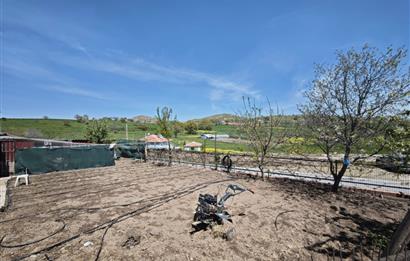 CENTURY 21 BAL'DAN KÜÇÜKBAŞ/BÜYÜKBAŞ ÜRETİM ÇİFTLİĞİ