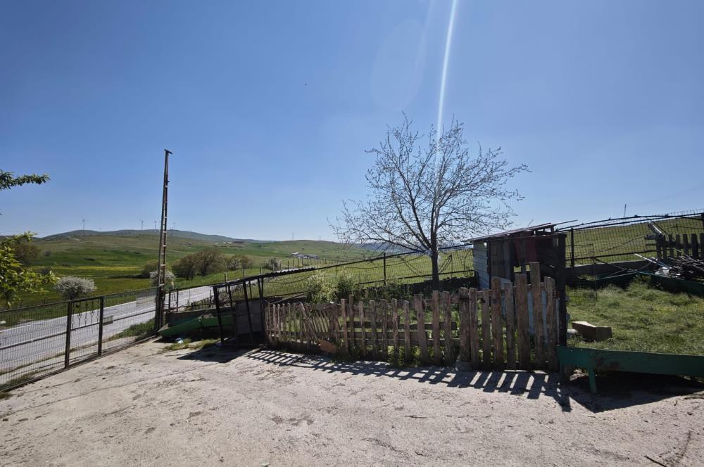 CENTURY 21 BAL'DAN KÜÇÜKBAŞ/BÜYÜKBAŞ ÜRETİM ÇİFTLİĞİ