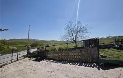 CENTURY 21 BAL'DAN KÜÇÜKBAŞ/BÜYÜKBAŞ ÜRETİM ÇİFTLİĞİ