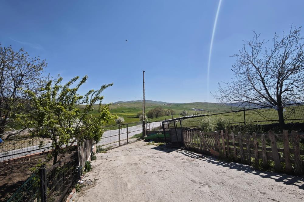 CENTURY 21 BAL'DAN KÜÇÜKBAŞ/BÜYÜKBAŞ ÜRETİM ÇİFTLİĞİ