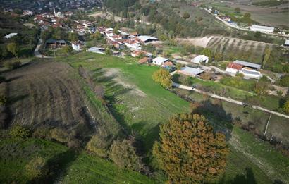 C21 BAL'DAN BALIKESİR CİNGE MH// ALT YAPISI OLAN// 1288 M² ARSA