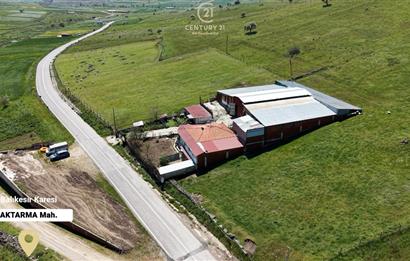 CENTURY 21 BAL'DAN KÜÇÜKBAŞ/BÜYÜKBAŞ ÜRETİM ÇİFTLİĞİ