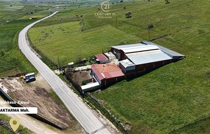 CENTURY 21 BAL'DAN KÜÇÜKBAŞ/BÜYÜKBAŞ ÜRETİM ÇİFTLİĞİ