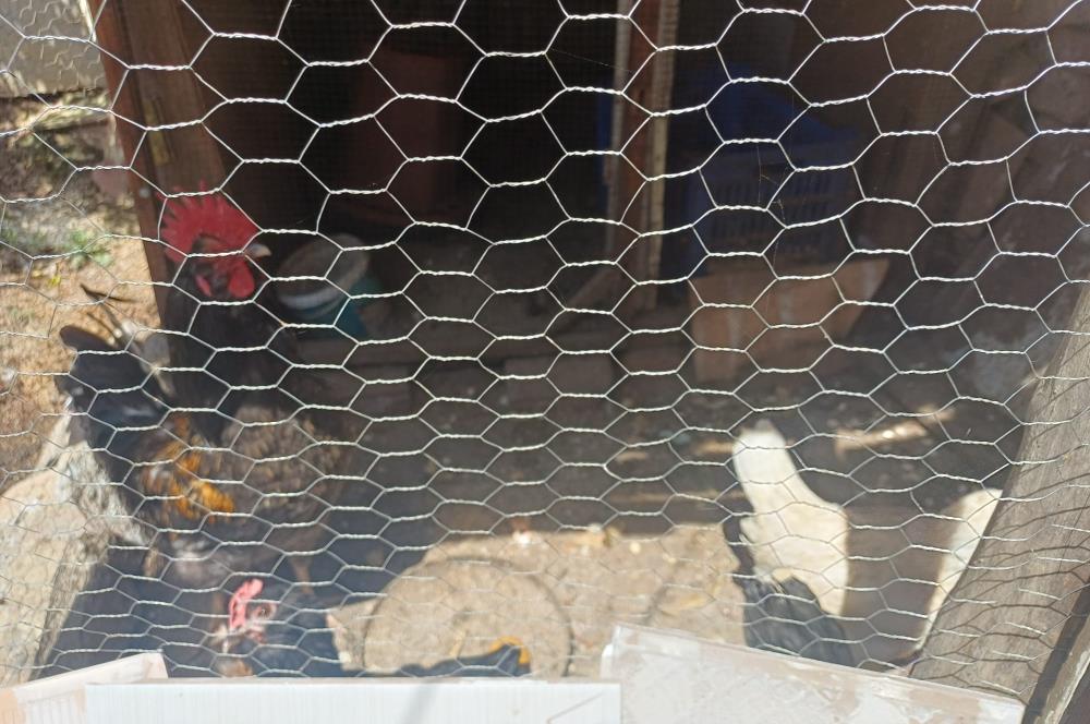 C21 Cius; Küçükkumla'da 127 m2 Arsa içinde Satılık Müstakil Ev