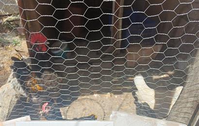 C21 Cius; Küçükkumla'da 127 m2 Arsa içinde Satılık Müstakil Ev