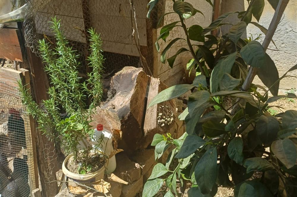 C21 Cius; Küçükkumla'da 127 m2 Arsa içinde Satılık Müstakil Ev