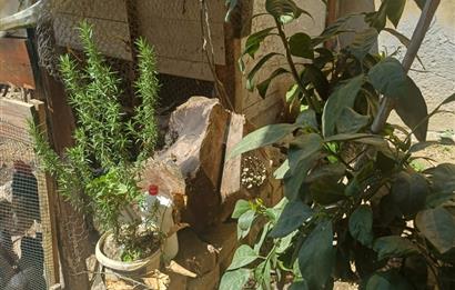 C21 Cius; Küçükkumla'da 127 m2 Arsa içinde Satılık Müstakil Ev