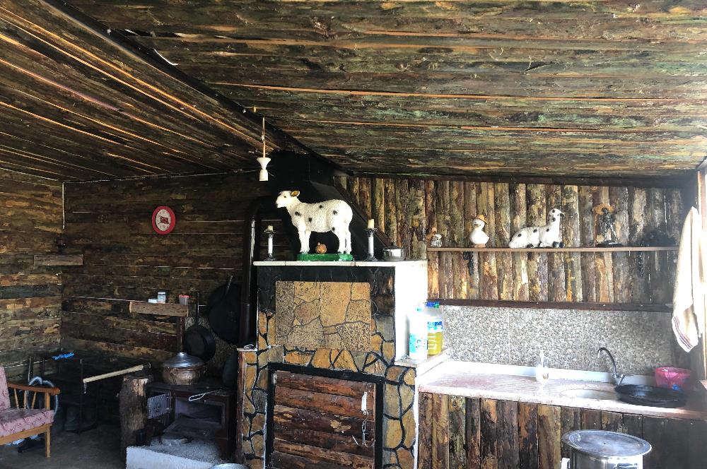 CENTURY 21 BAL'DAN KÜÇÜKBAŞ/BÜYÜKBAŞ ÜRETİM ÇİFTLİĞİ