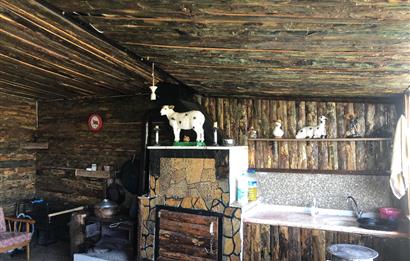 CENTURY 21 BAL'DAN KÜÇÜKBAŞ/BÜYÜKBAŞ ÜRETİM ÇİFTLİĞİ