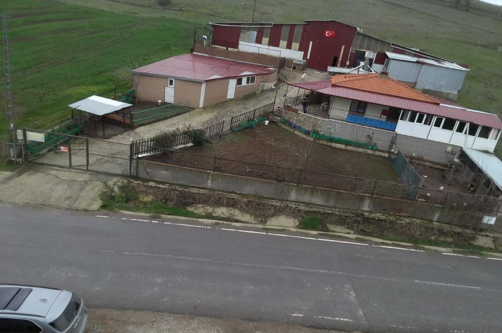 CENTURY 21 BAL'DAN KÜÇÜKBAŞ/BÜYÜKBAŞ ÜRETİM ÇİFTLİĞİ