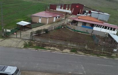 CENTURY 21 BAL'DAN KÜÇÜKBAŞ/BÜYÜKBAŞ ÜRETİM ÇİFTLİĞİ