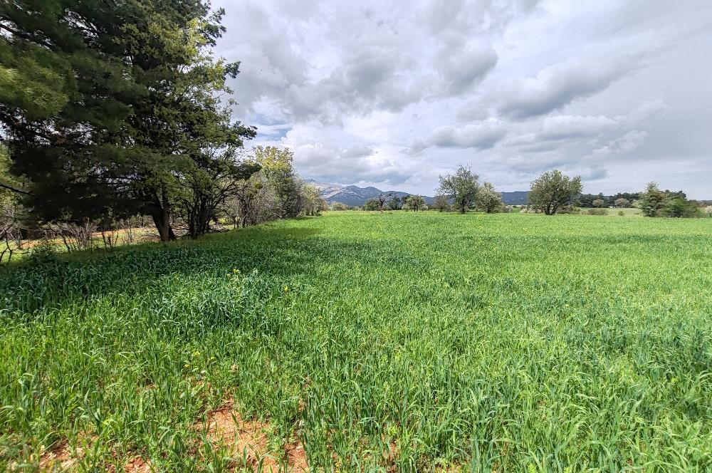 C21 Loft'tan Vakıf Mahallesinde Satılık Tarla 