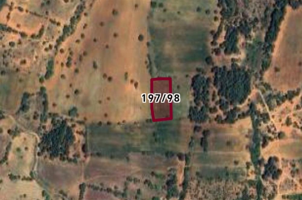 C21 Loft'tan Vakıf Mahallesinde Satılık Tarla 