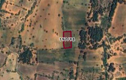 C21 Loft'tan Vakıf Mahallesinde Satılık Tarla 