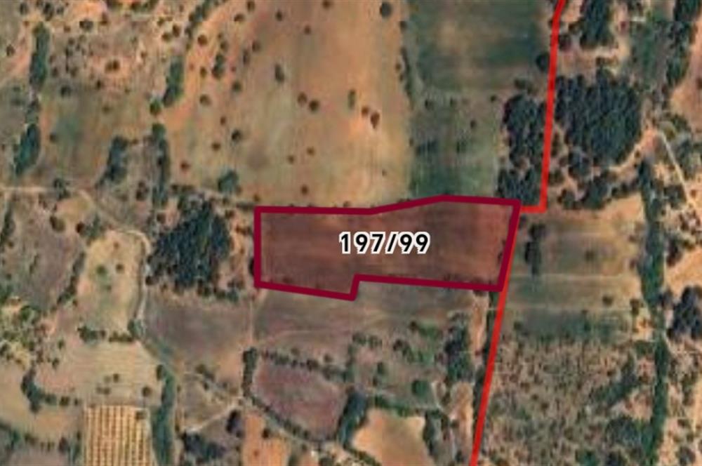 C21 Loft'tan Vakıf Mahallesinde Satılık Tarla 