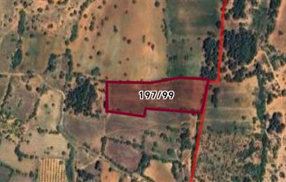 C21 Loft'tan Vakıf Mahallesinde Satılık Tarla 