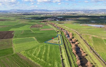 C21 WİNNER YAKUPKÖY MAHALLESİ 2.533m² SATILIK TARLA