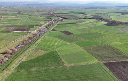 C21 WİNNER YAKUPKÖY MAHALLESİ 2.533m² SATILIK TARLA