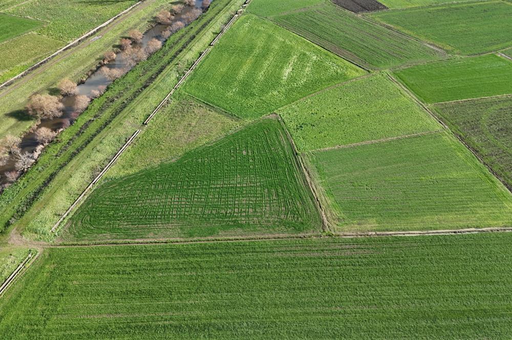 C21 WİNNER YAKUPKÖY MAHALLESİ 2.533m² SATILIK TARLA