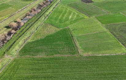 C21 WİNNER YAKUPKÖY MAHALLESİ 2.533m² SATILIK TARLA