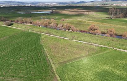 C21 WİNNER YAKUPKÖY MAHALLESİ 2.533m² SATILIK TARLA