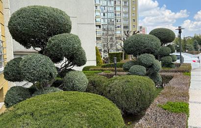 ÇANKAYA ZIRVEKENT SİTESİNDE KİRALIK 3+1 DAİRE