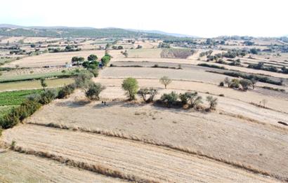 C21 WİNNER KEPSUT YENİCE MAHALLESİ 374m² SATILIK ARSA