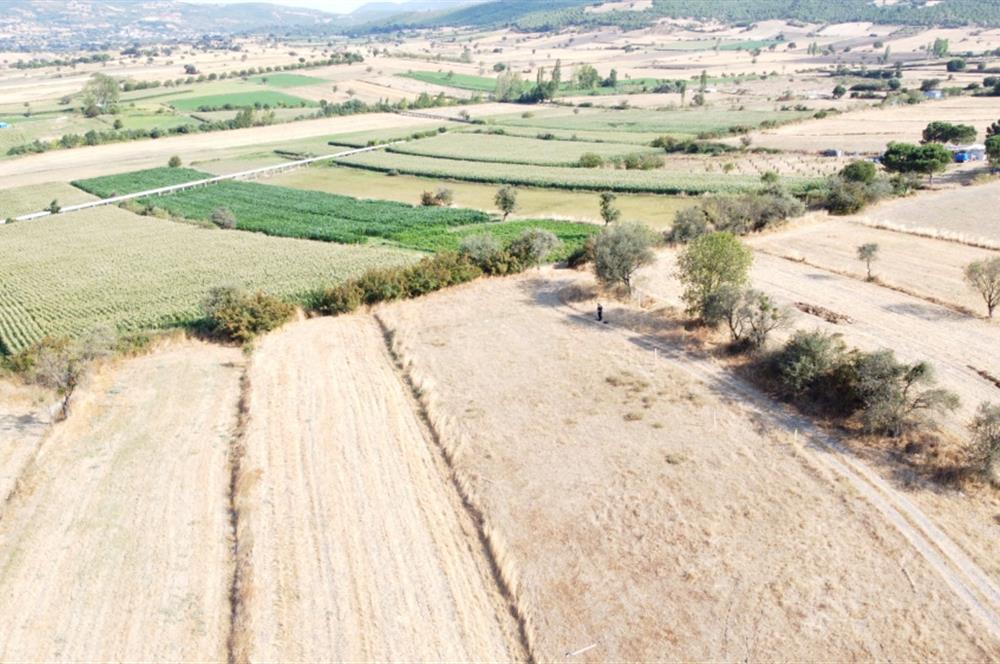 C21 WİNNER KEPSUT YENİCE MAHALLESİ 374m² SATILIK ARSA