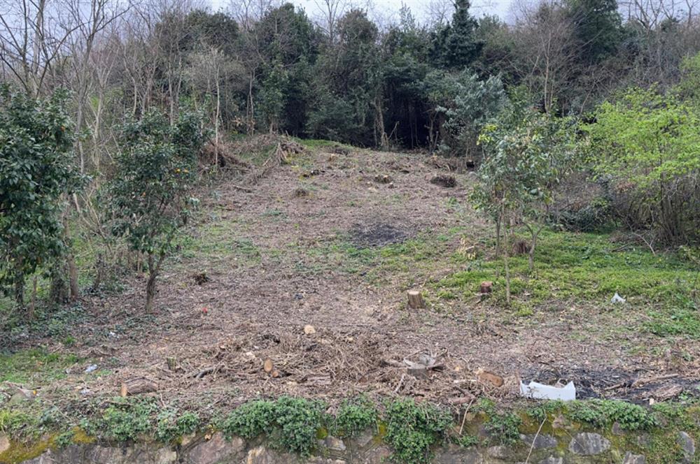 CENTURY 21'DEN ORDU GÜZELYALI MAH. DENİZ MANZARALI SATILIK ARSA