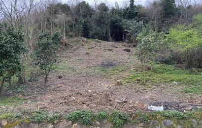 CENTURY 21'DEN ORDU GÜZELYALI MAH. DENİZ MANZARALI SATILIK ARSA