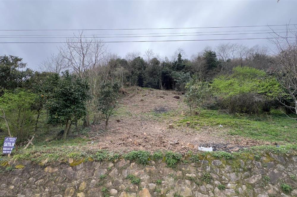 CENTURY 21'DEN ORDU GÜZELYALI MAH. DENİZ MANZARALI SATILIK ARSA