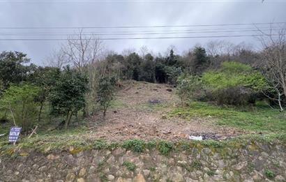 CENTURY 21'DEN ORDU GÜZELYALI MAH. DENİZ MANZARALI SATILIK ARSA