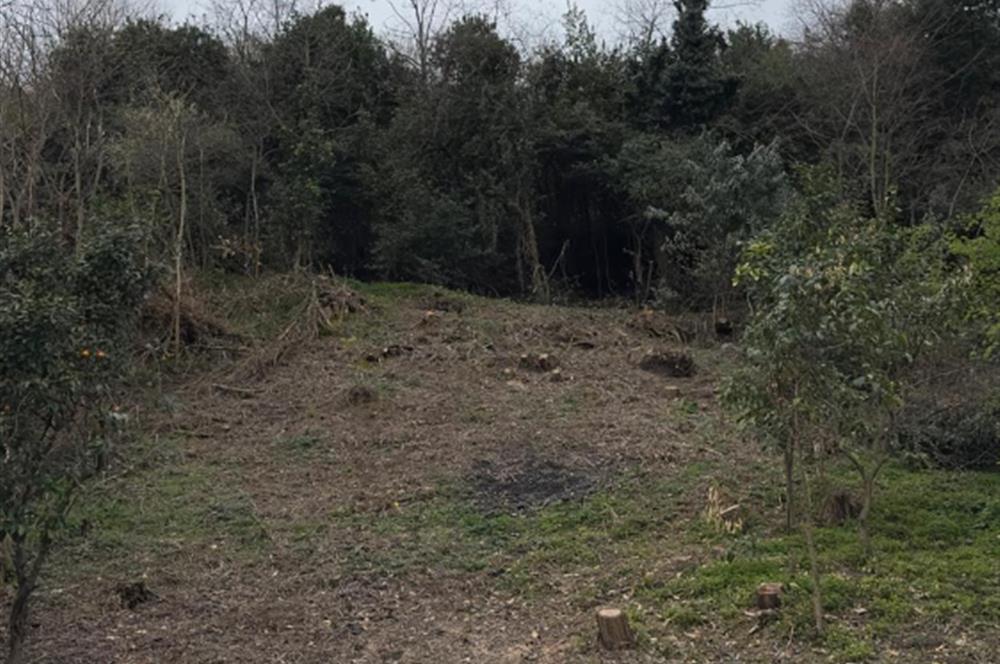 CENTURY 21'DEN ORDU GÜZELYALI MAH. DENİZ MANZARALI SATILIK ARSA