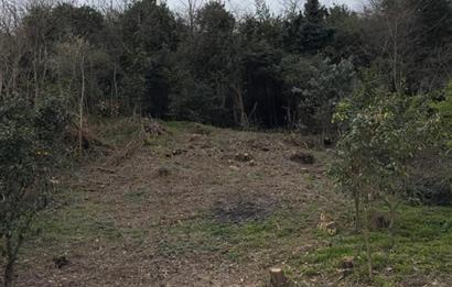 CENTURY 21'DEN ORDU GÜZELYALI MAH. DENİZ MANZARALI SATILIK ARSA