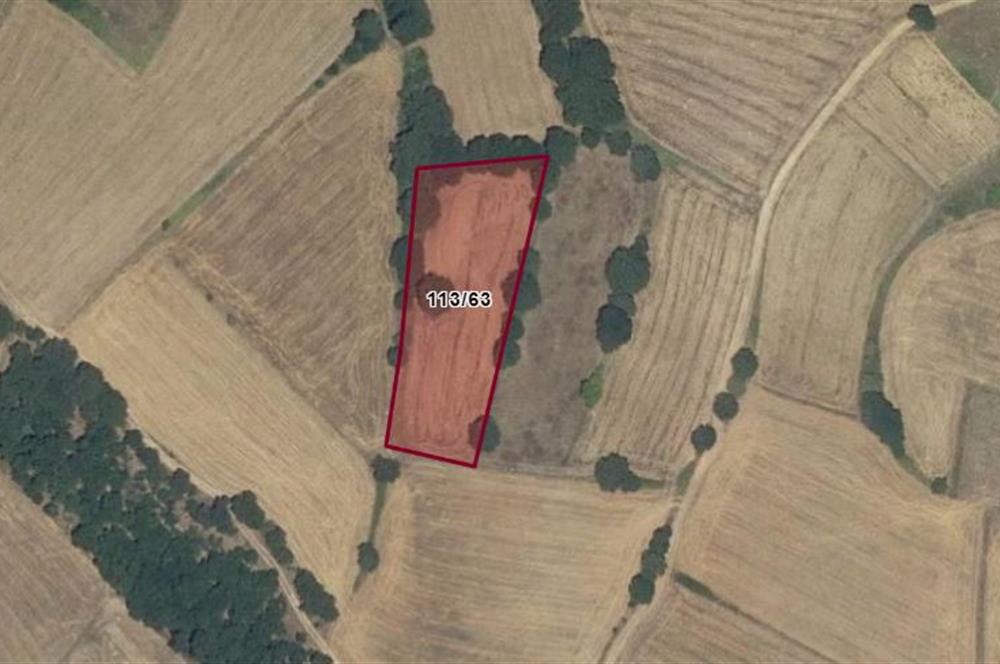 CENTURY 21 BAL OFİSİNDEN BALIKESİR KURTDERE KÖYÜNDE SATILIK TARLA