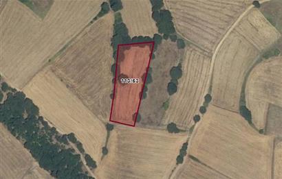 CENTURY 21 BAL OFİSİNDEN BALIKESİR KURTDERE KÖYÜNDE SATILIK TARLA