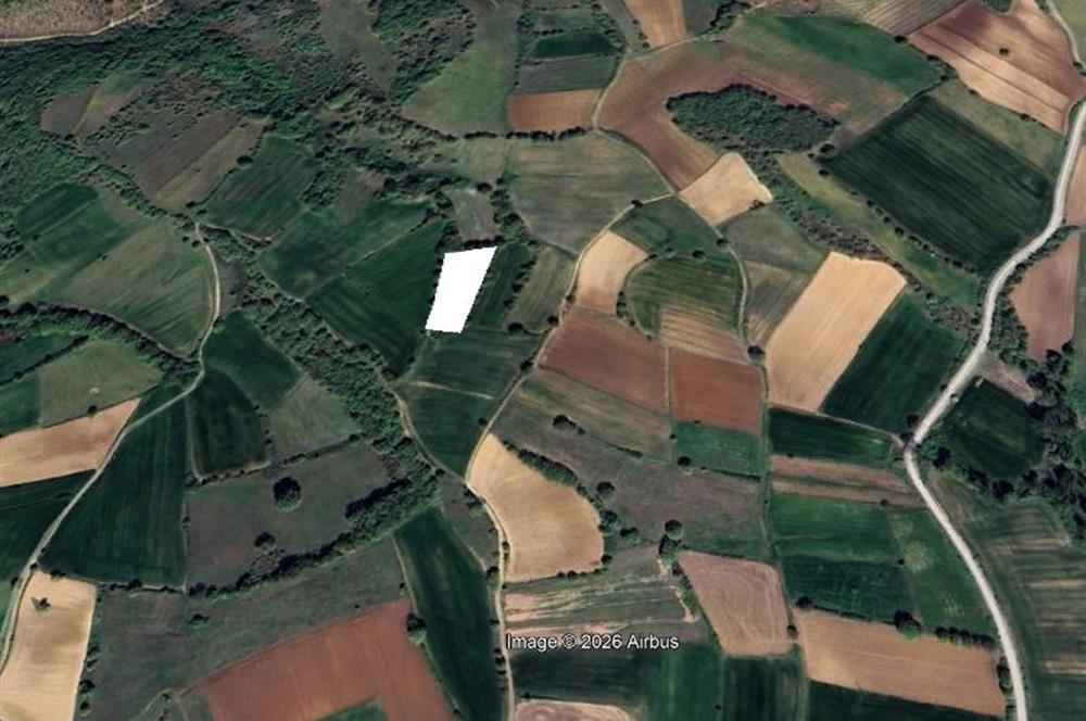 CENTURY 21 BAL OFİSİNDEN BALIKESİR KURTDERE KÖYÜNDE SATILIK TARLA